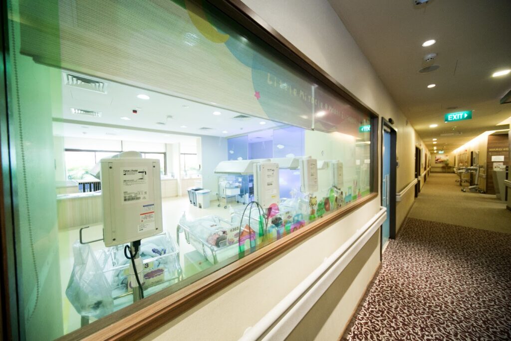 nursery-mount-elizabeth-orchard-singapore-3