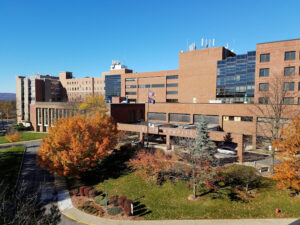 Ellis-Hospital-Doctor-Bookly1