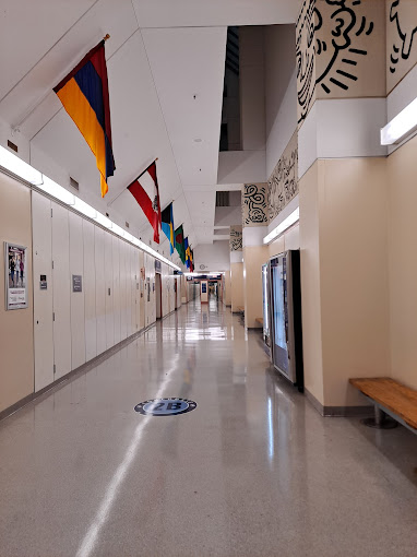 Woodhull-Medical-and-Mental-Health-Center-Doctor-Bookly5